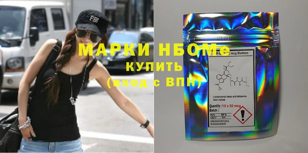 ГАЛЛЮЦИНОГЕННЫЕ ГРИБЫ Козловка