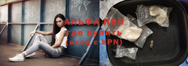 мдпв Кодинск