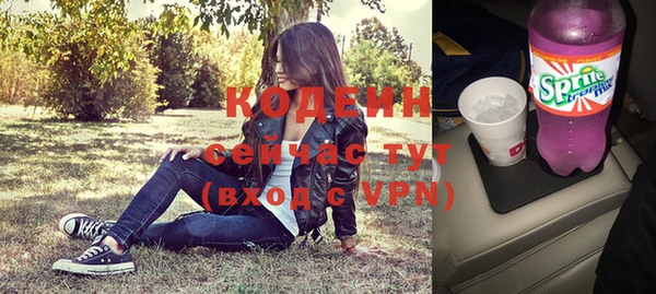 ГАЛЛЮЦИНОГЕННЫЕ ГРИБЫ Козловка