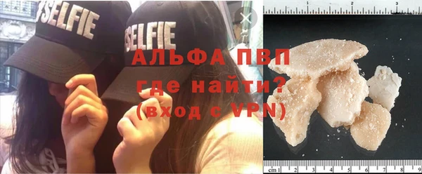 мдпв Кодинск