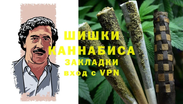 ГАЛЛЮЦИНОГЕННЫЕ ГРИБЫ Козловка