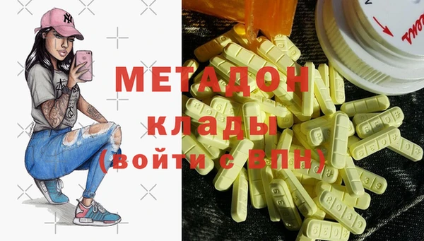ГАЛЛЮЦИНОГЕННЫЕ ГРИБЫ Козловка