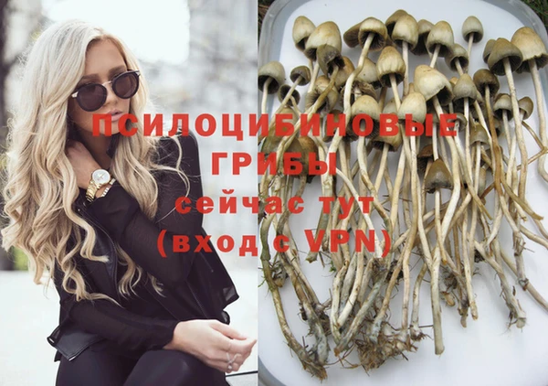 jwh Козельск