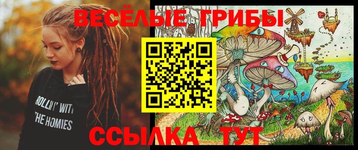 Псилоцибиновые грибы прущие грибы  Вход с VPN  Узловая 