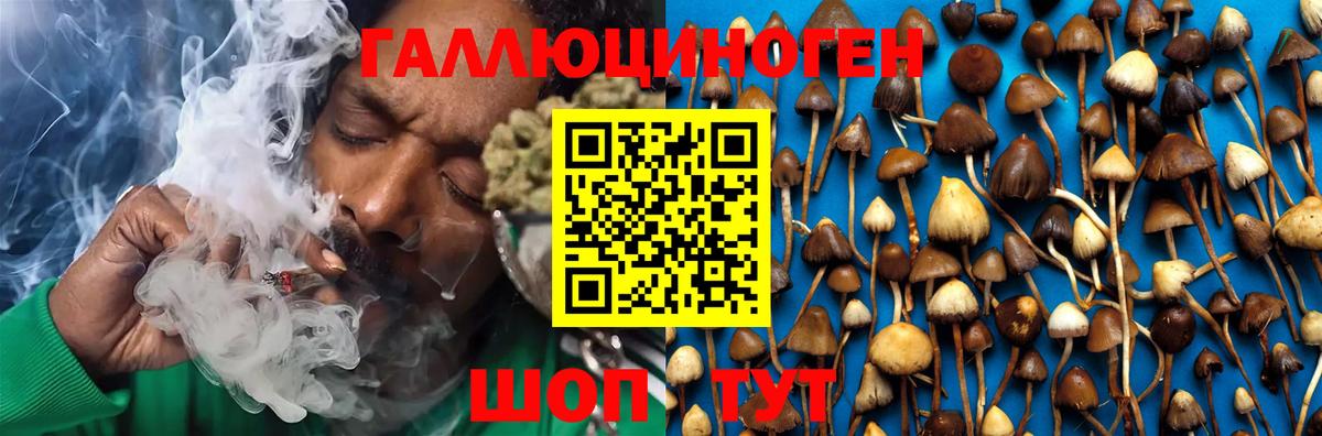 Псилоцибиновые грибы Magic Shrooms Узловая